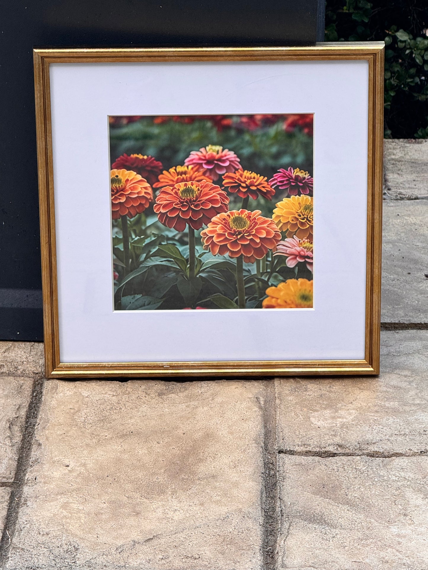 Chrysanthemums