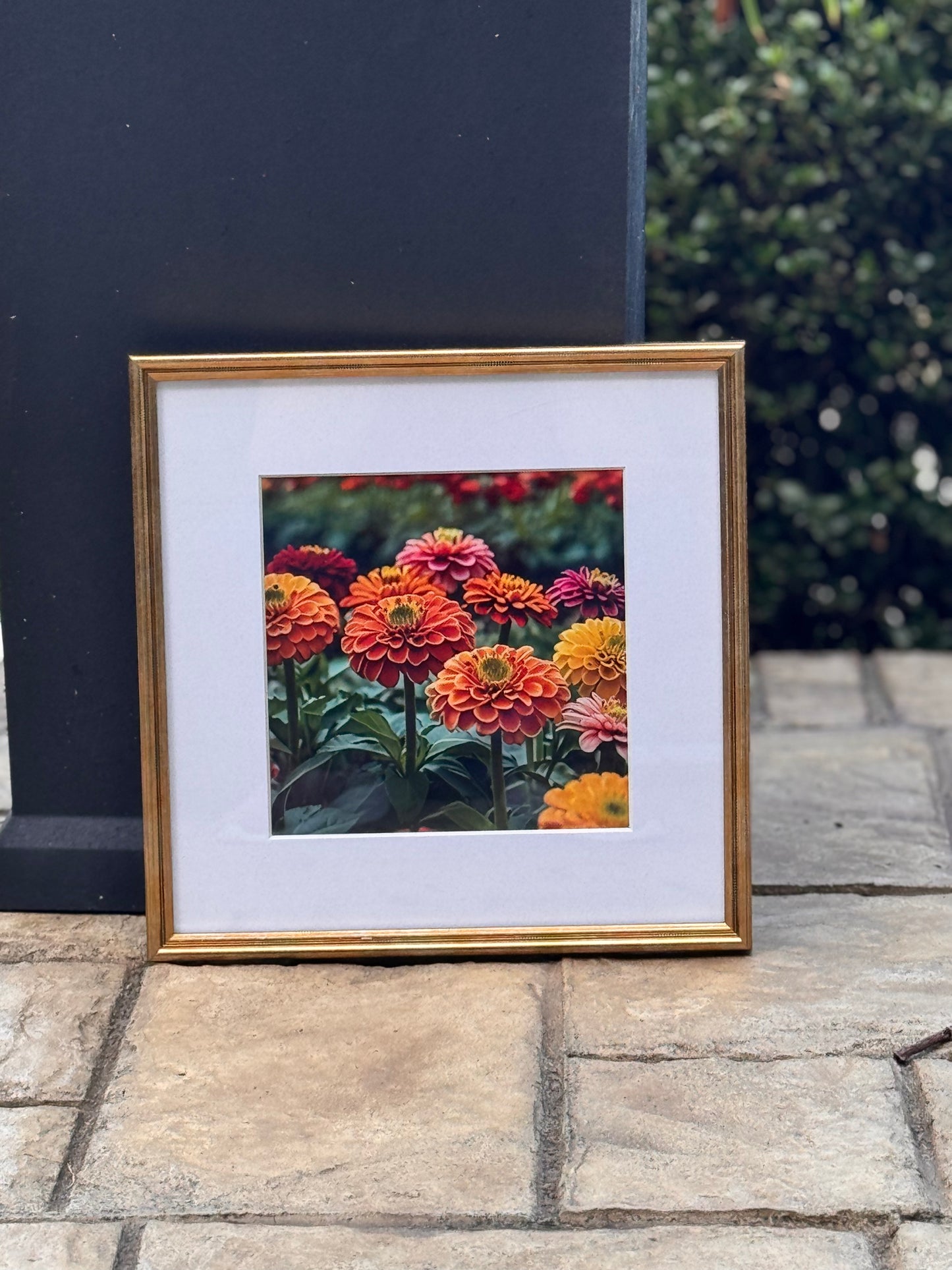 Chrysanthemums