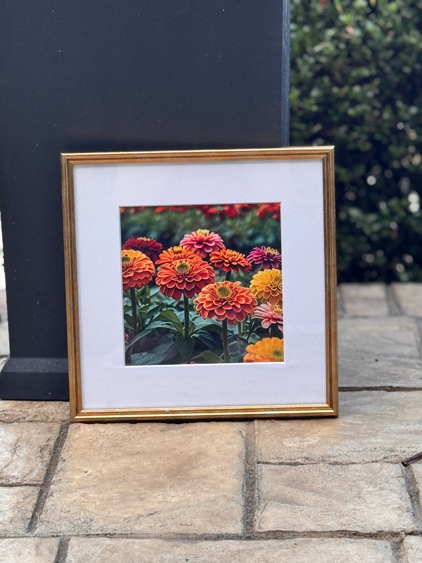 Chrysanthemums
