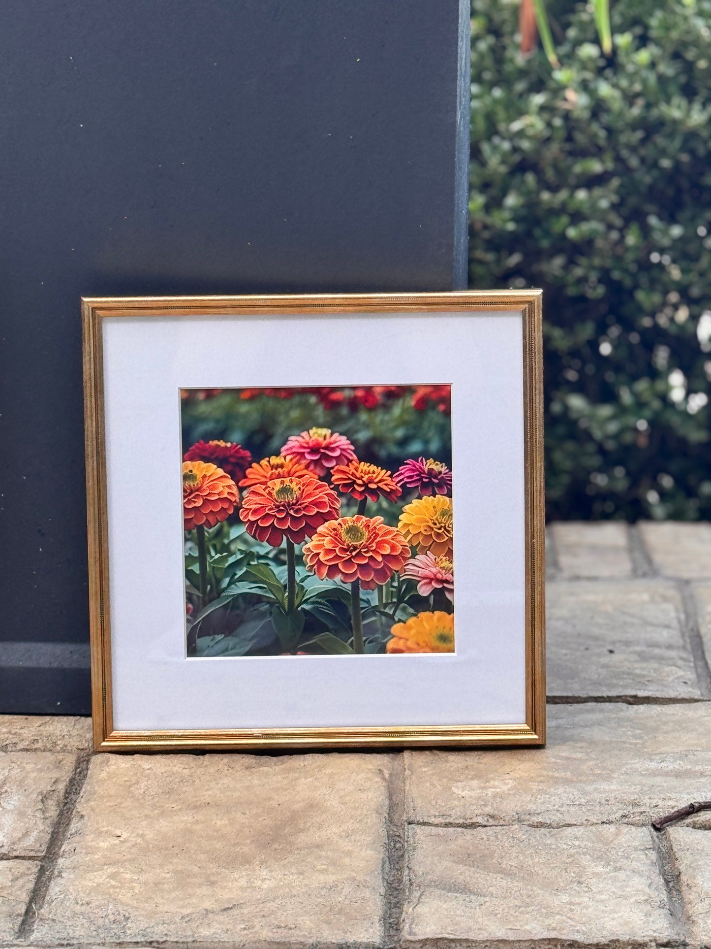 Chrysanthemums