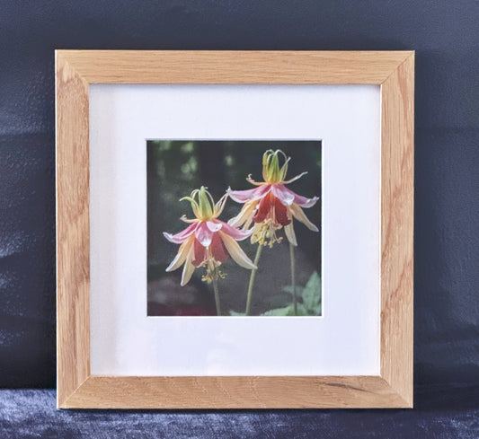 Flower Picture in Natural Wood Frame image 0